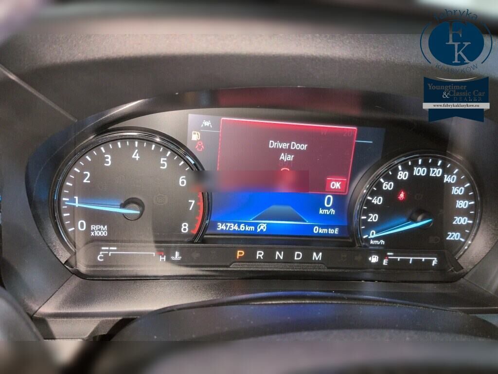 FORD FORD OTHERS OTHERS 2020 - zdjęcie 8