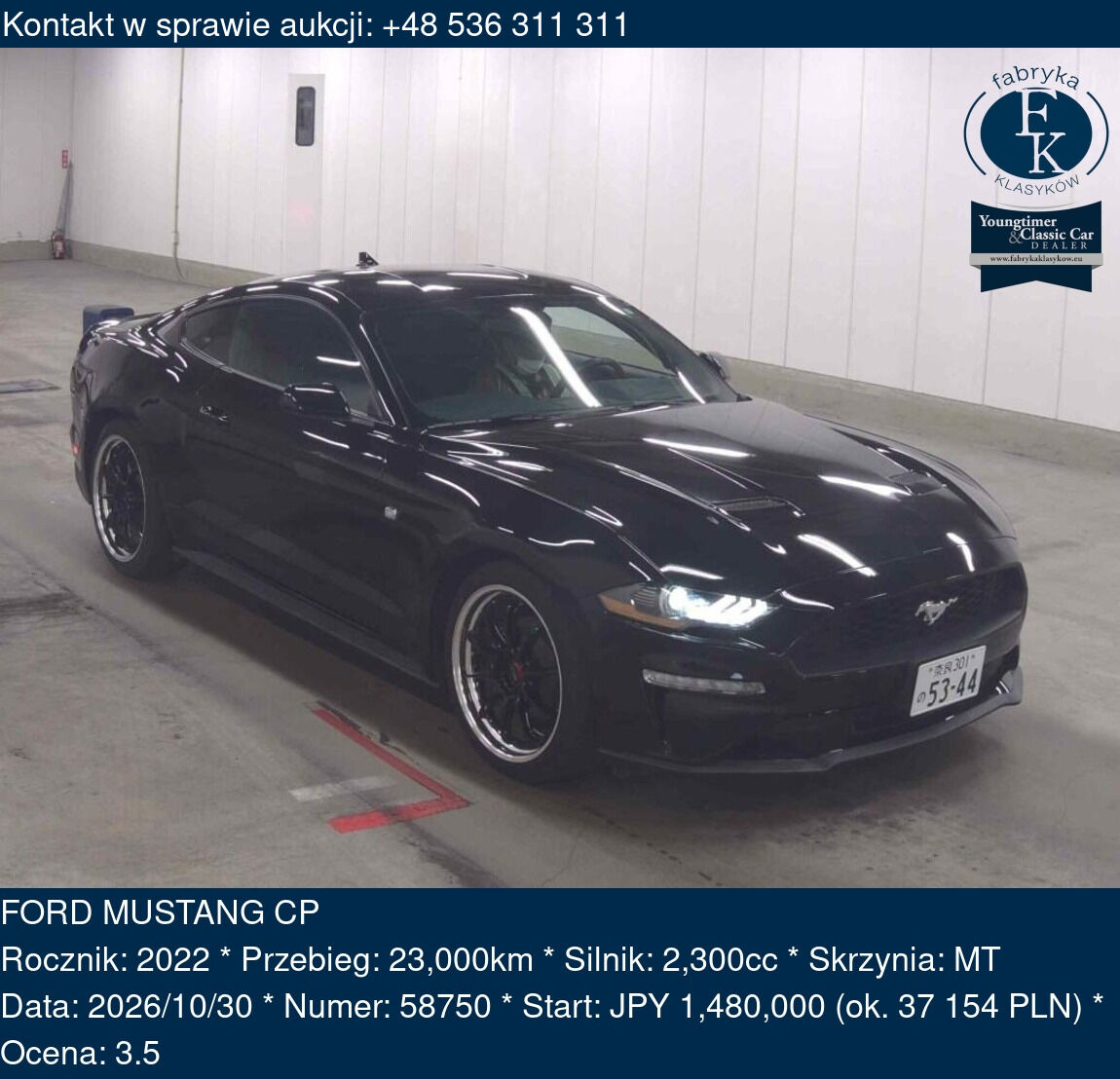 FORD MUSTANG CP 2022 - zdjęcie 2