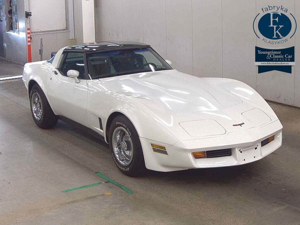 CHEVROLET CORVETTE CP 1981 - aukcja, lot 65142
