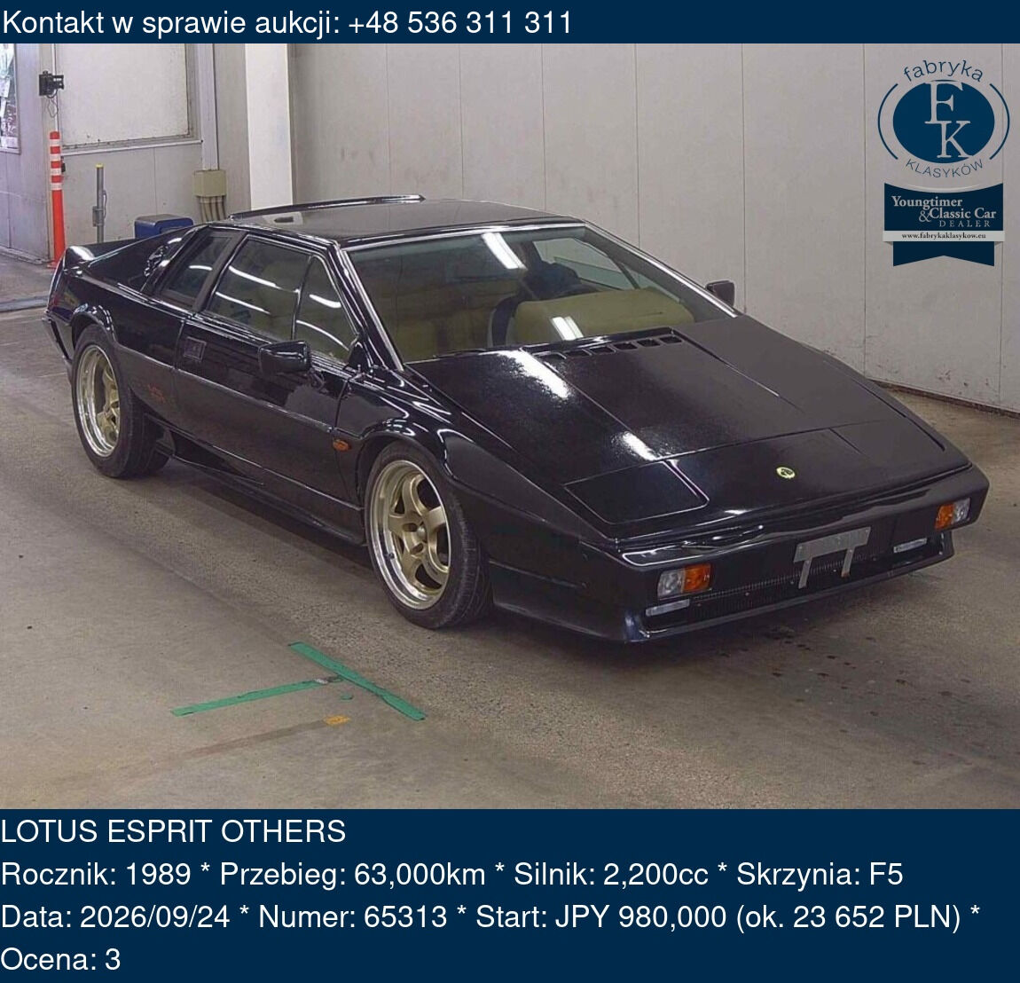 LOTUS ESPRIT OTHERS 1989 - zdjęcie 2