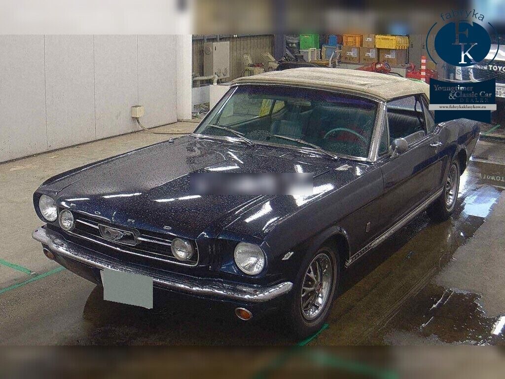 FORD MUSTANG OP OTHERS 2000 - zdjęcie 6