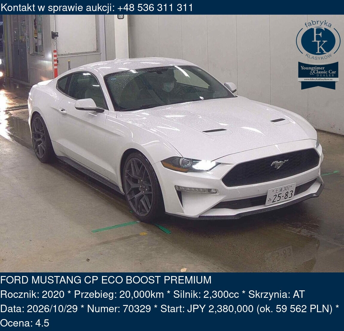 FORD MUSTANG CP ECO BOOST PREMIUM 2020 - zdjęcie 2