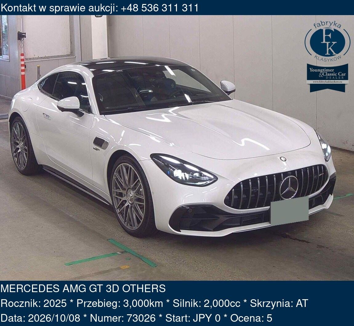 MERCEDES AMG GT 3D OTHERS 2025 - zdjęcie 2