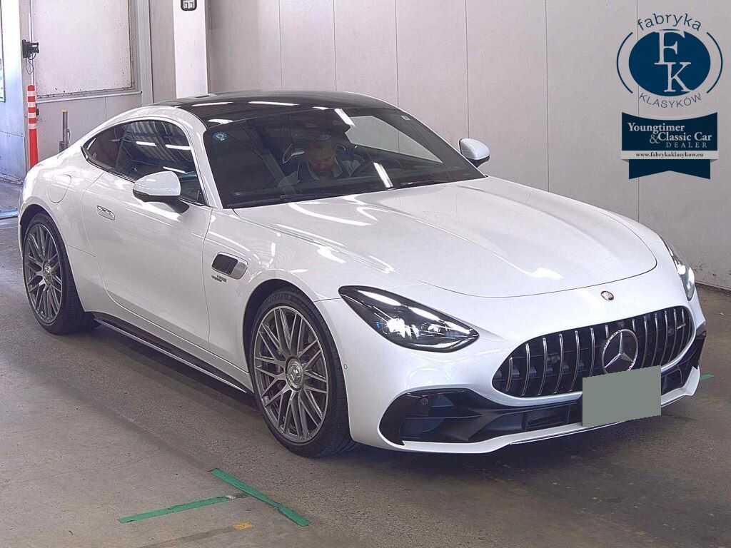 MERCEDES AMG GT 3D OTHERS 2025 - aukcja, lot 73052