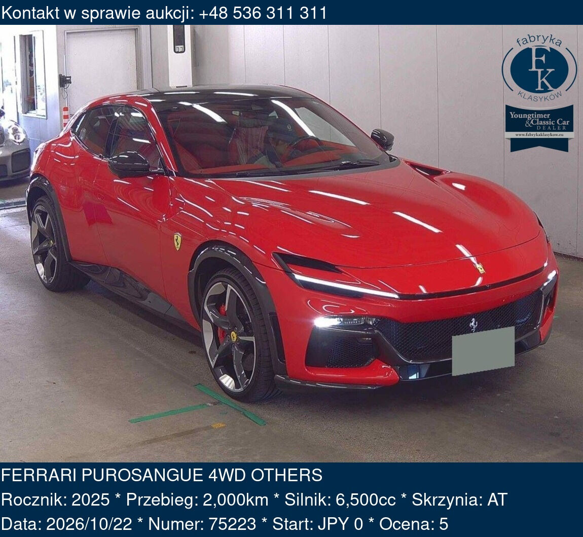 FERRARI PUROSANGUE 4WD OTHERS 2025 - zdjęcie 2
