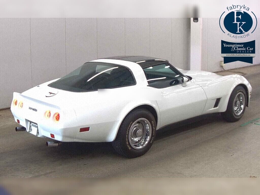 CHEVROLET CORVETTE CP 1981 - zdjęcie 7