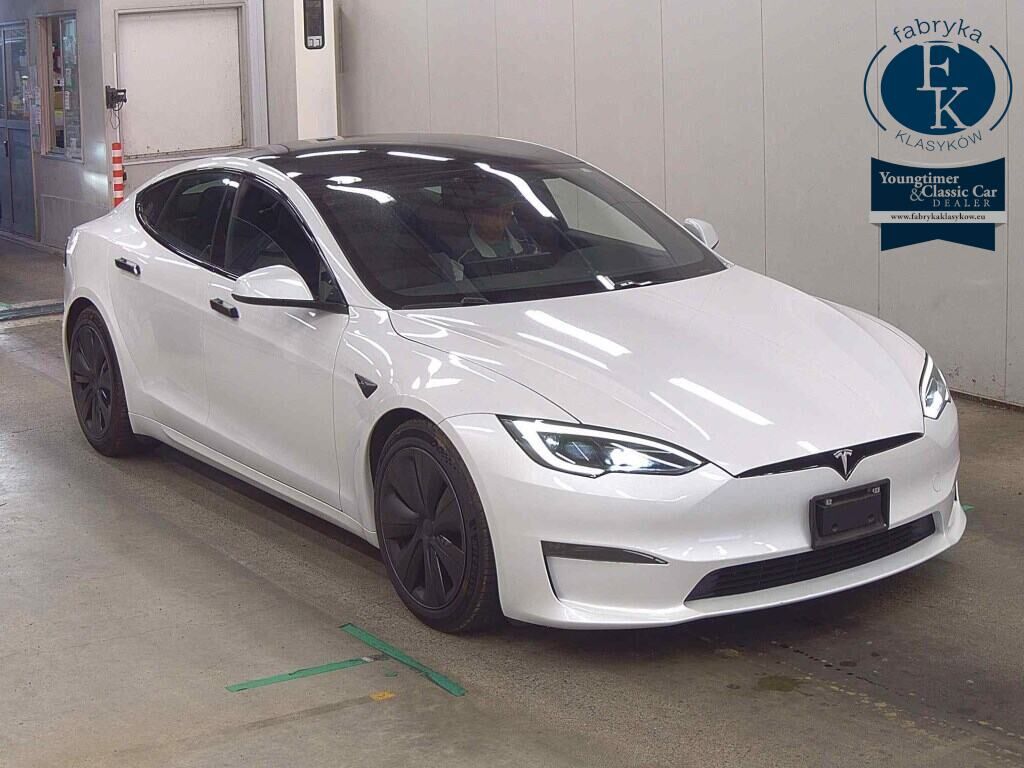 TESLA MODEL S 4WD OTHERS 2023 - aukcja, lot 78019