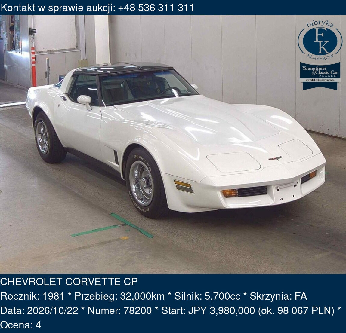 CHEVROLET CORVETTE CP 1981 - zdjęcie 2