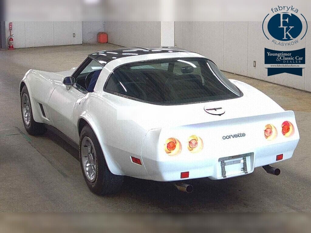 CHEVROLET CORVETTE CP 1981 - zdjęcie 4