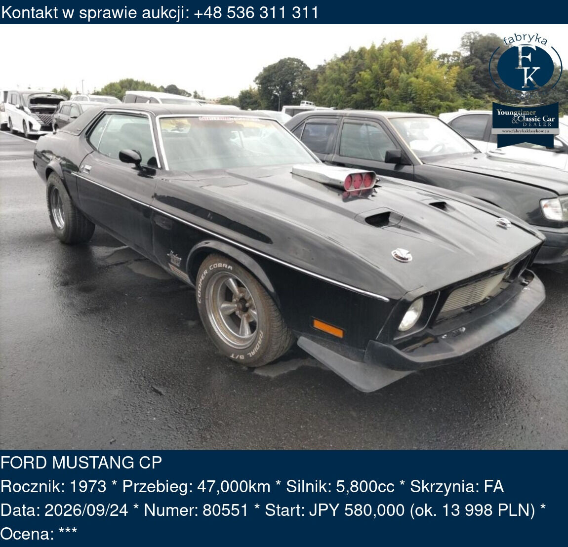 FORD MUSTANG CP 1973 - zdjęcie 2