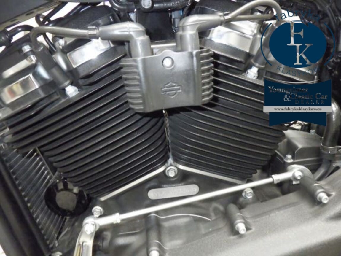 HARLEY-DAVIDSON FXFBS1870 2019 - zdjęcie 11