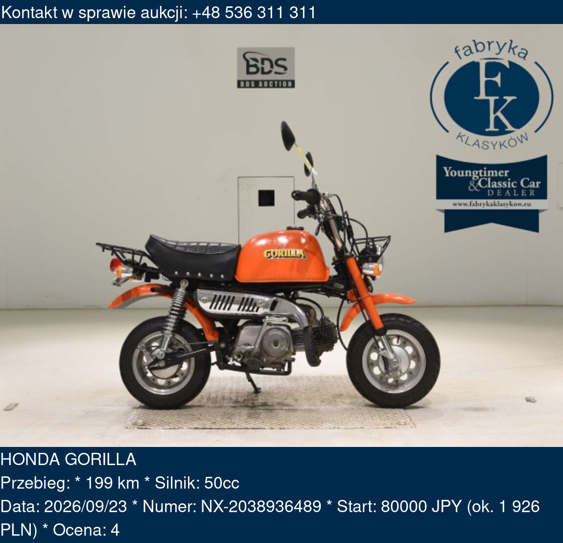 HONDA GORILLA  - zdjęcie 2