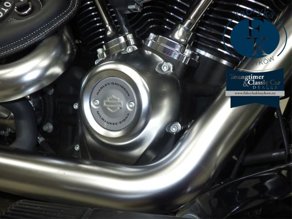 HARLEY-DAVIDSON FLFBS1870 2019 - zdjęcie 9