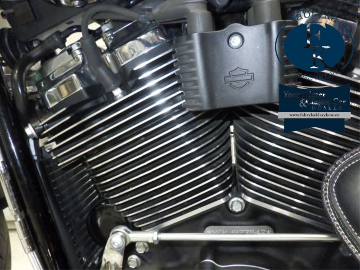 HARLEY-DAVIDSON FLFBS1870 2019 - zdjęcie 21