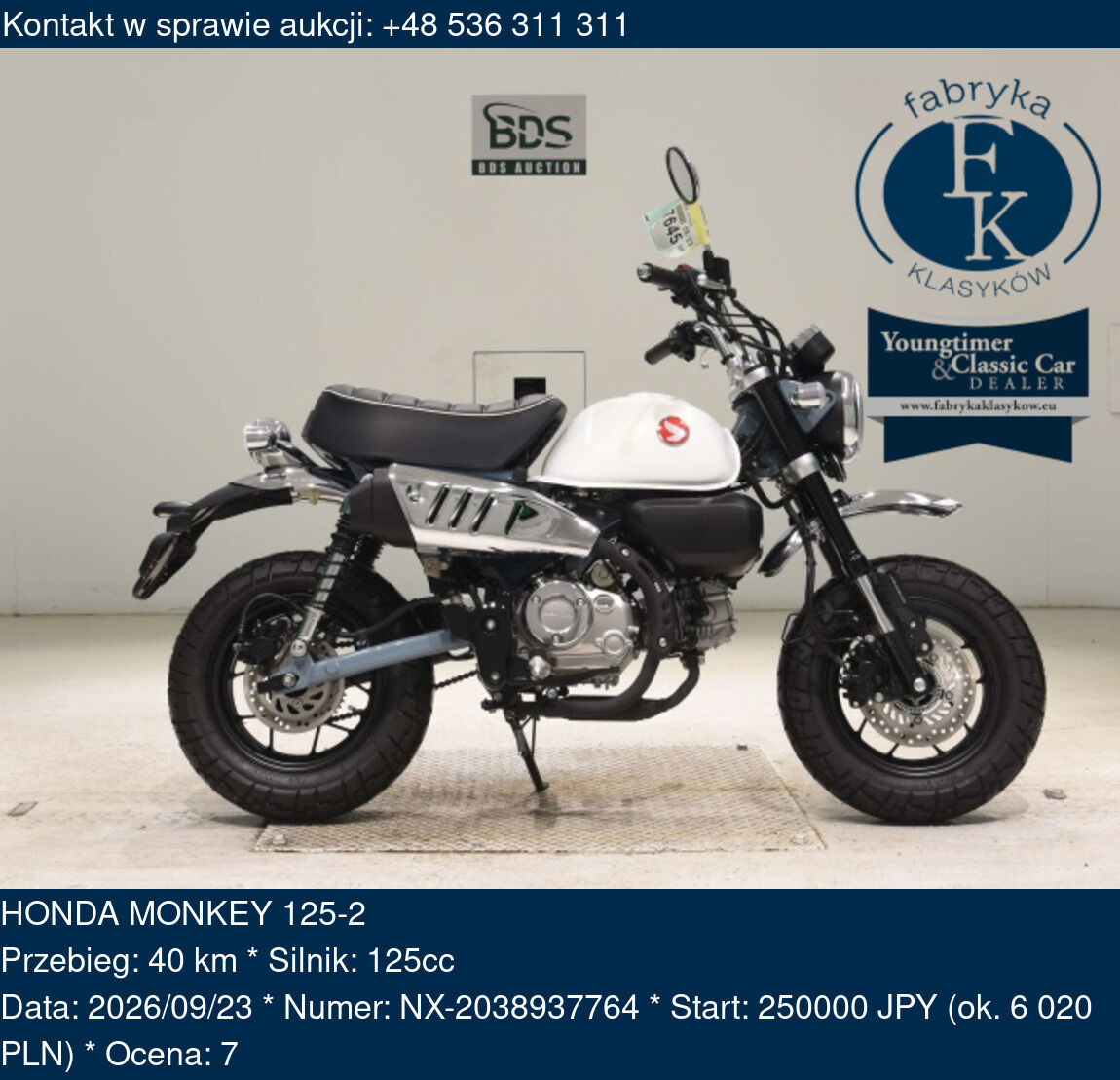 HONDA MONKEY 125-2  - zdjęcie 2