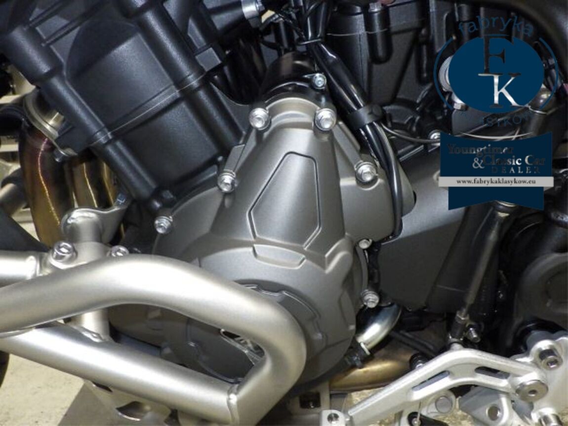 TRIUMPH TIGER 900 RALLY 2023 - zdjęcie 12
