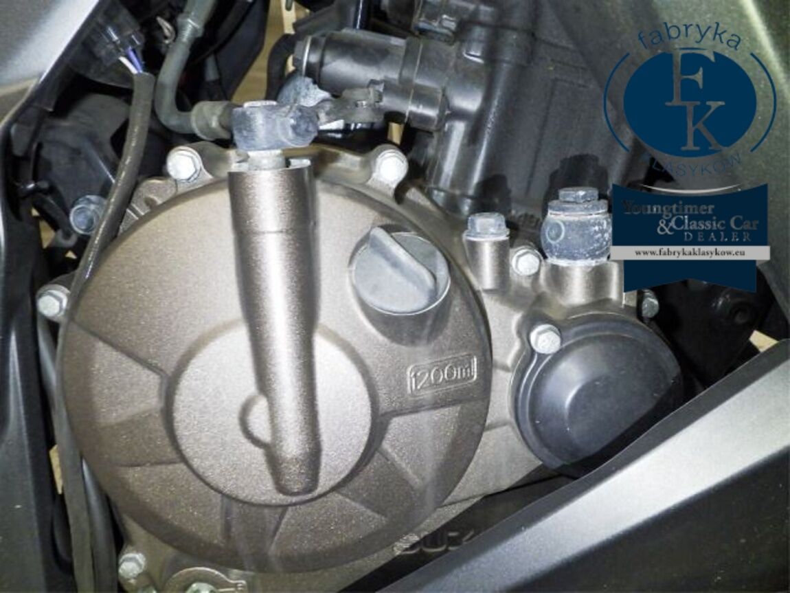 SUZUKI JIKUSA-250SF  - zdjęcie 10
