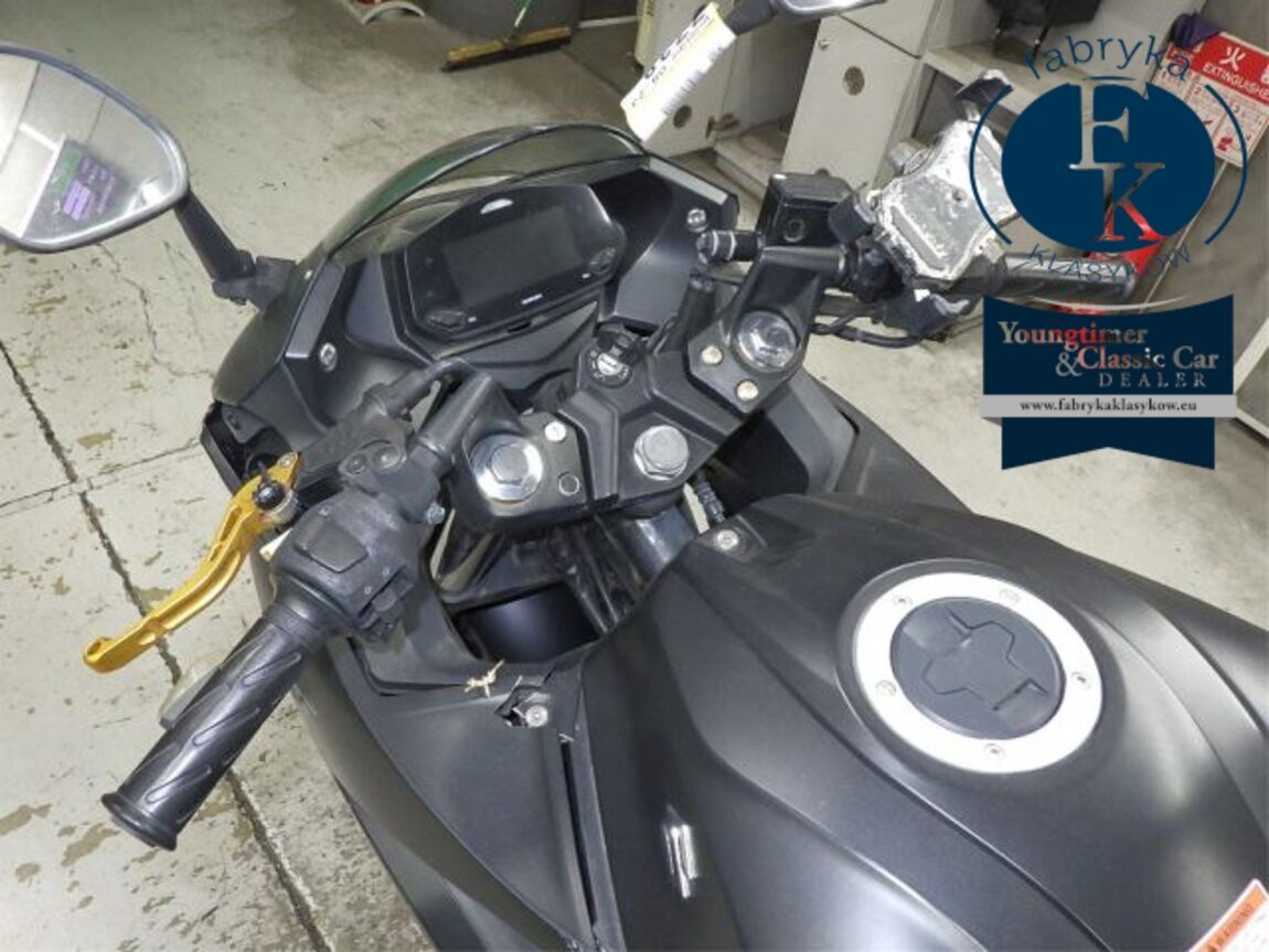 SUZUKI JIKUSA-250SF  - zdjęcie 21