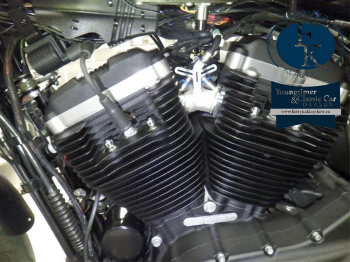 HARLEY-DAVIDSON XL883N 2020 - zdjęcie 12