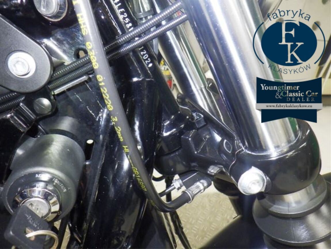 HARLEY-DAVIDSON XL883N 2020 - zdjęcie 31