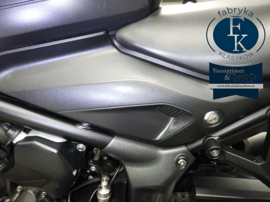 TRIUMPH TRIDENT 660 2023 - zdjęcie 19