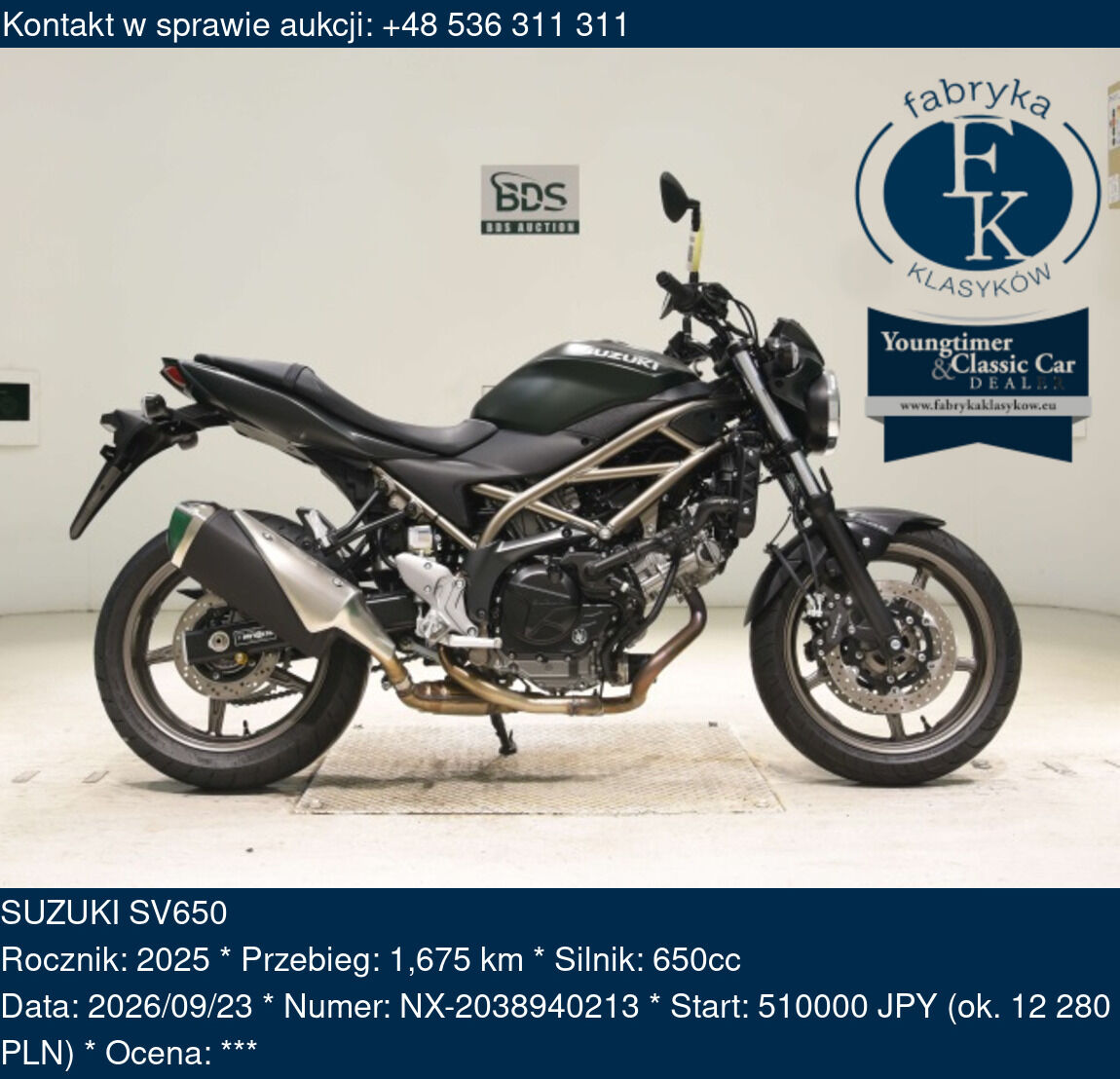 SUZUKI SV650 2025 - zdjęcie 2