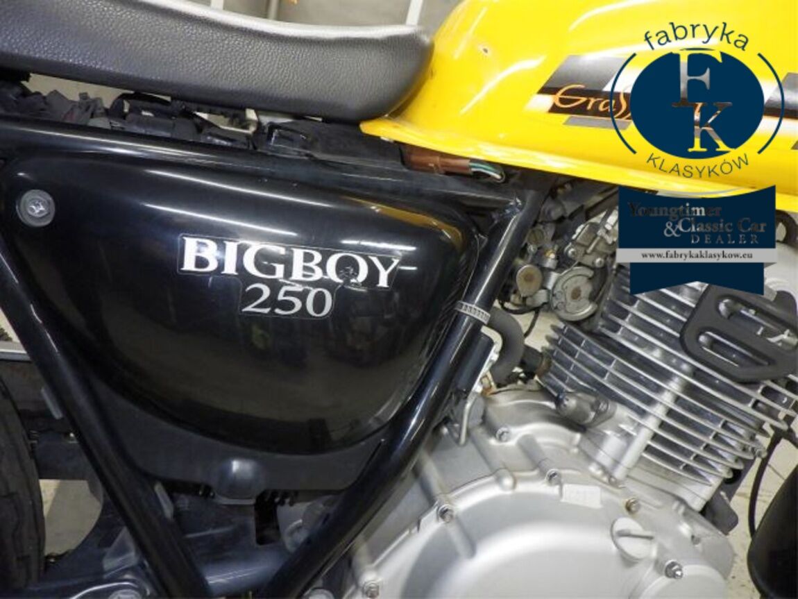 SUZUKI GLASS TRACKER BIG BOY  - zdjęcie 20