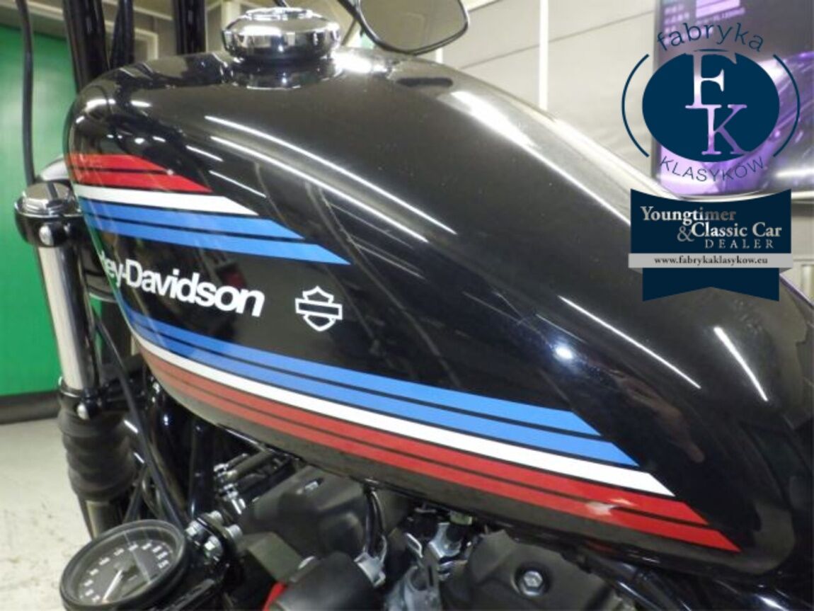 HARLEY-DAVIDSON XL1200NS 2020 - zdjęcie 22