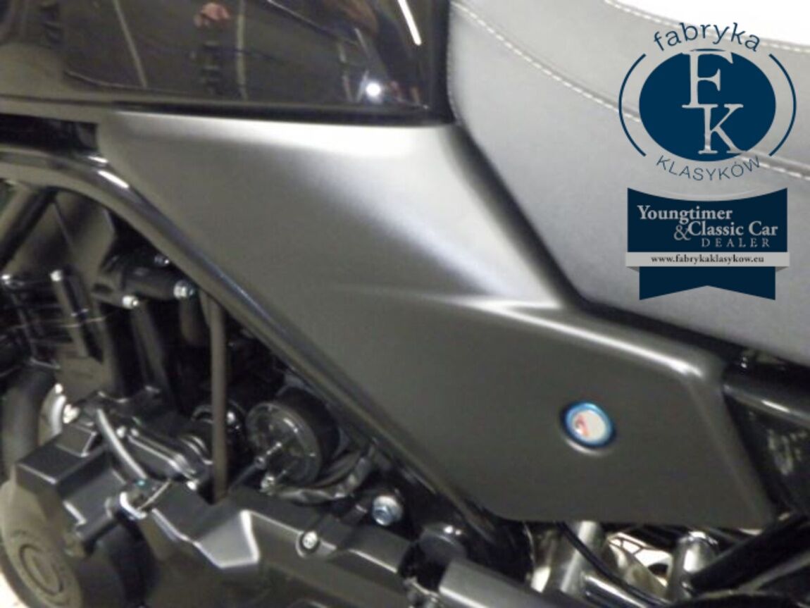HARLEY-DAVIDSON X500 2025 - zdjęcie 19