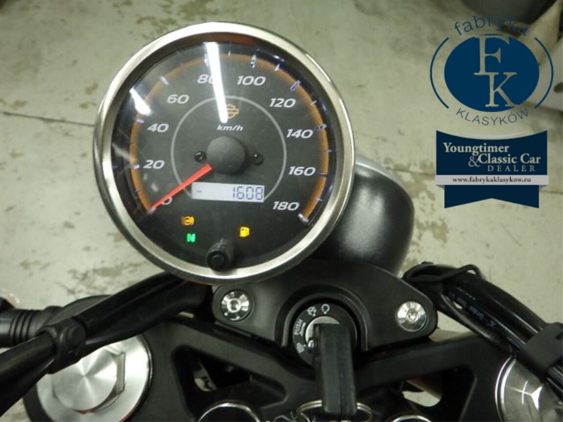 HARLEY-DAVIDSON X350 2024 - zdjęcie 13