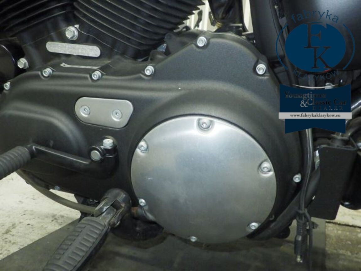 HARLEY-DAVIDSON XL883N 2017 - zdjęcie 11