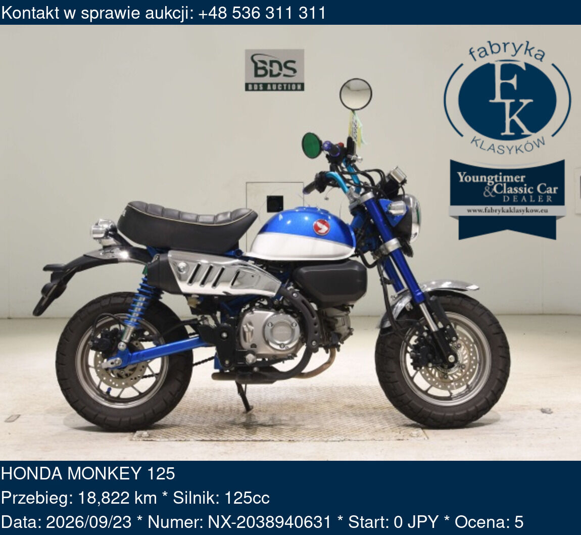 HONDA MONKEY 125  - zdjęcie 2