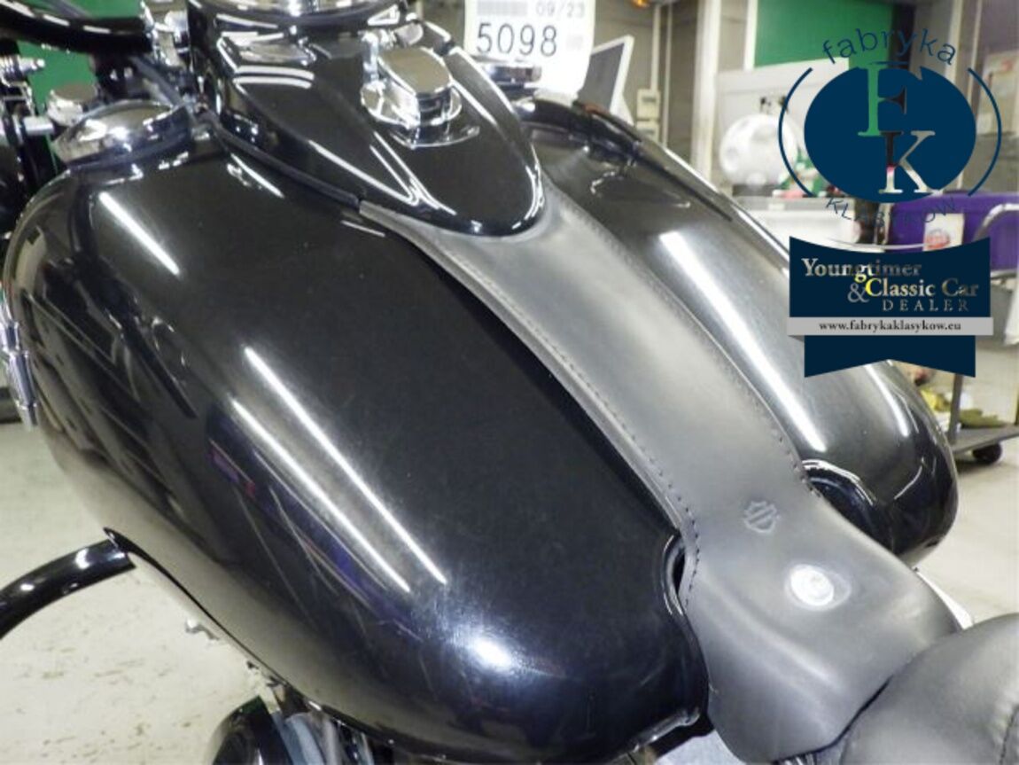 HARLEY-DAVIDSON FLS1580 2013 - zdjęcie 19