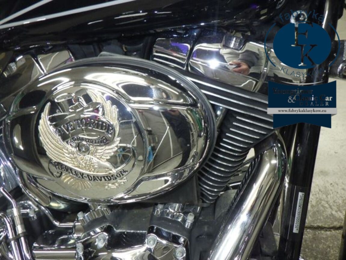 HARLEY-DAVIDSON FLSTC1580 2009 - zdjęcie 9