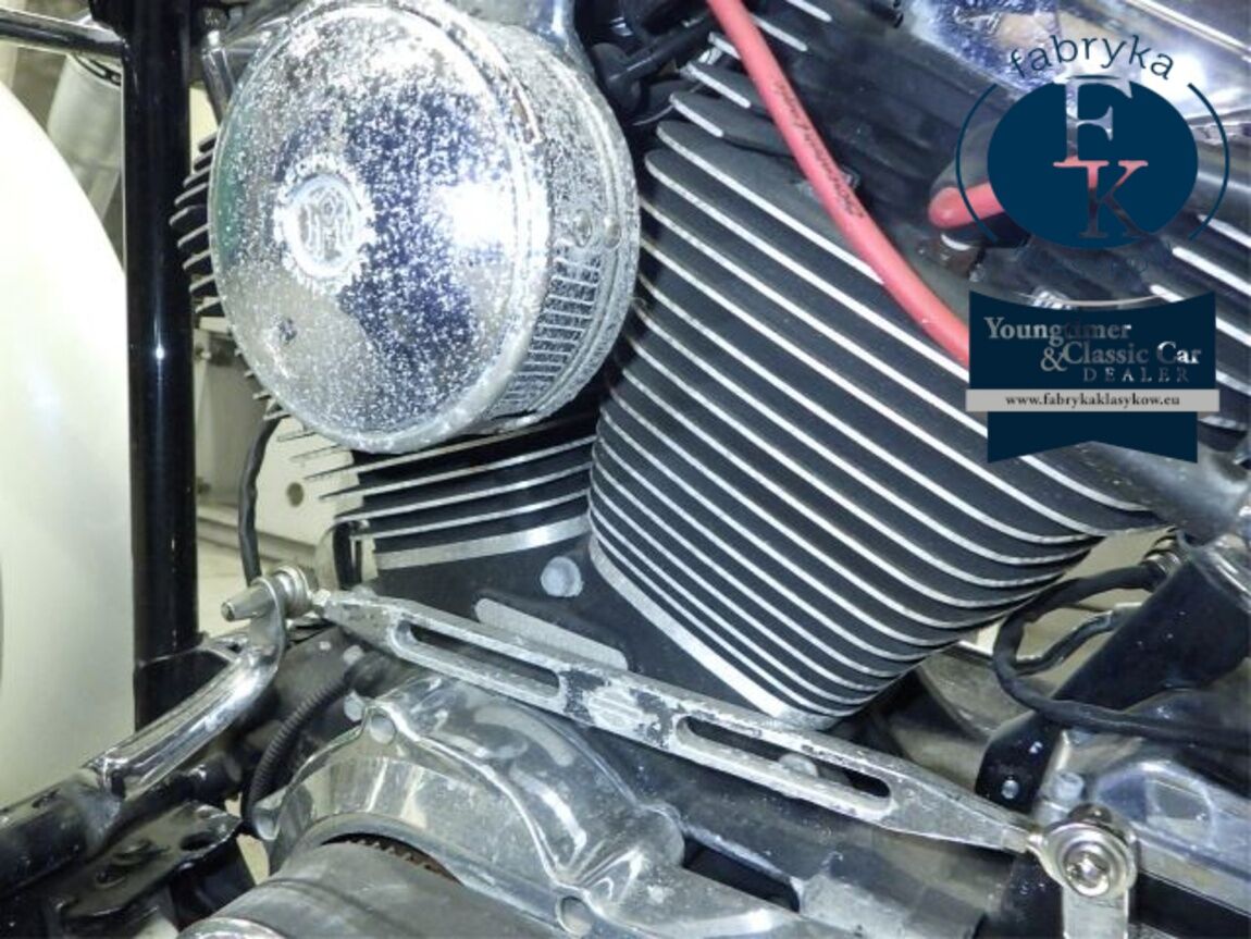 HARLEY-DAVIDSON FLSTF1580 2008 - zdjęcie 11