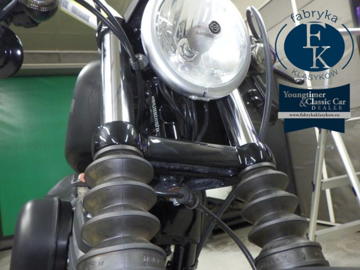 HARLEY-DAVIDSON XL883N 2014 - zdjęcie 23