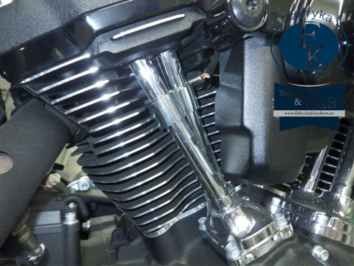 HARLEY-DAVIDSON FXLRST1920 2023 - zdjęcie 9