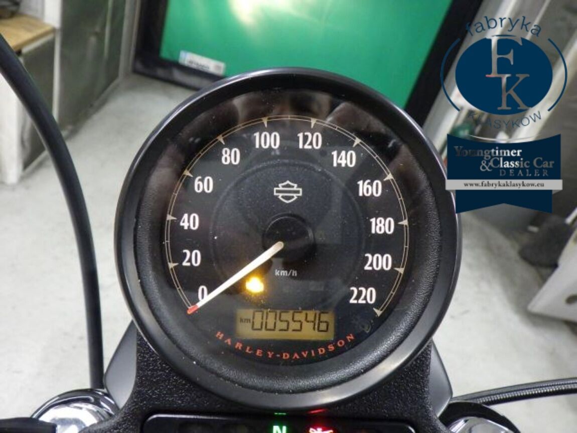 HARLEY-DAVIDSON XL1200NS 2018 - zdjęcie 13