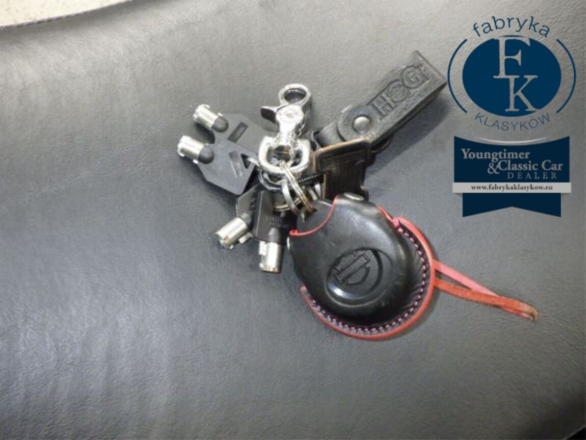 HARLEY-DAVIDSON FLHXST1920 2023 - zdjęcie 14