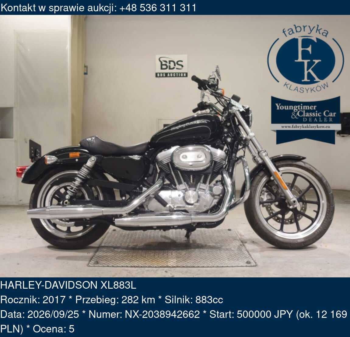 HARLEY-DAVIDSON XL883L 2017 - zdjęcie 2