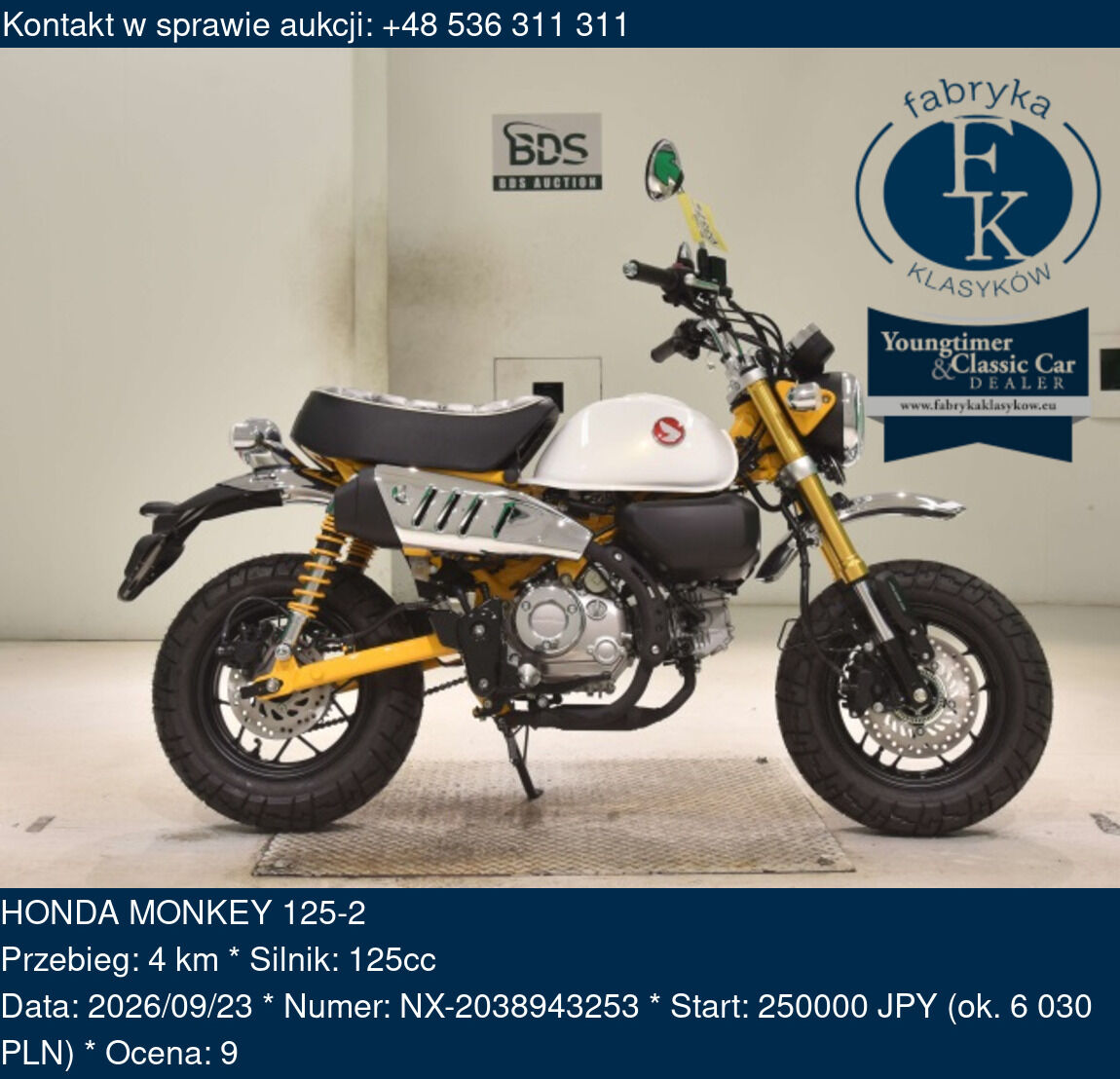 HONDA MONKEY 125-2  - zdjęcie 2