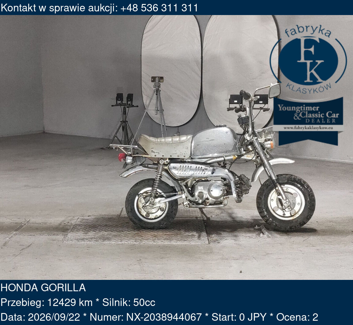 HONDA GORILLA  - zdjęcie 2