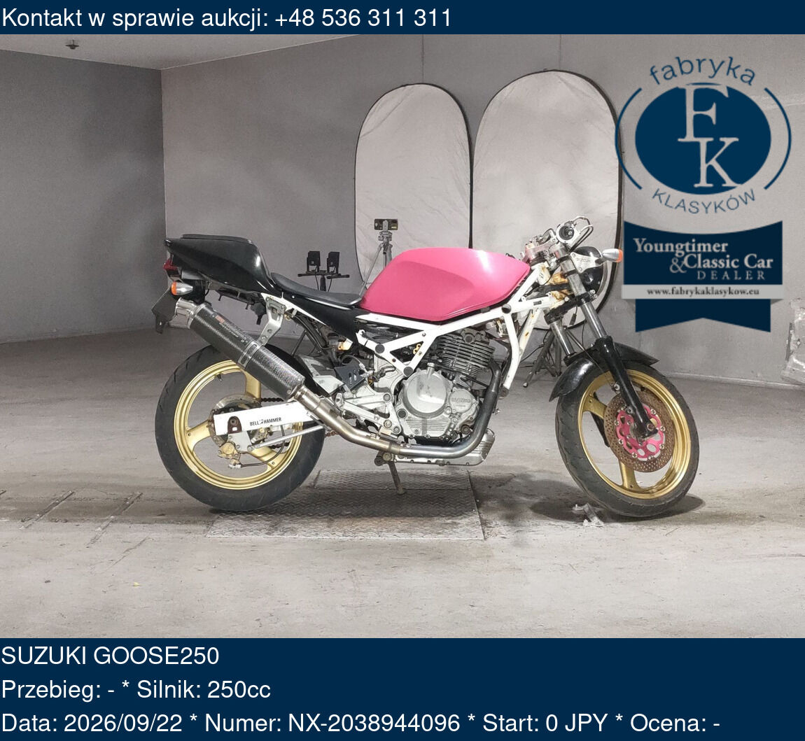 SUZUKI GOOSE250  - zdjęcie 2