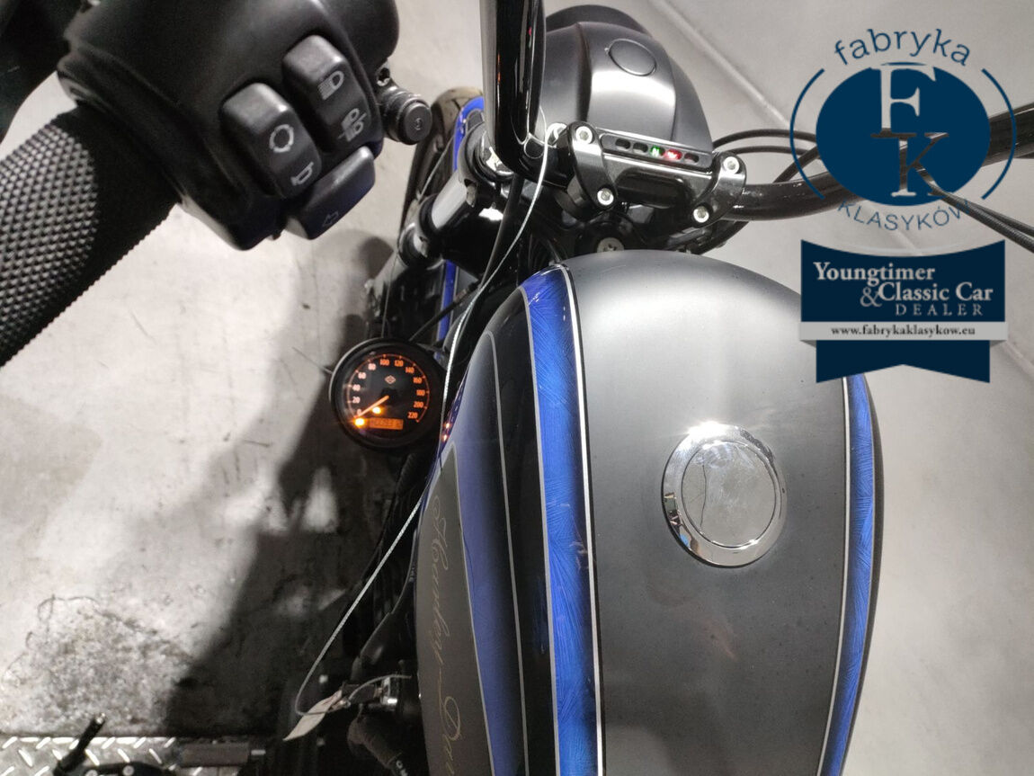 HARLEY-DAVIDSON XL883N 2020 - zdjęcie 6