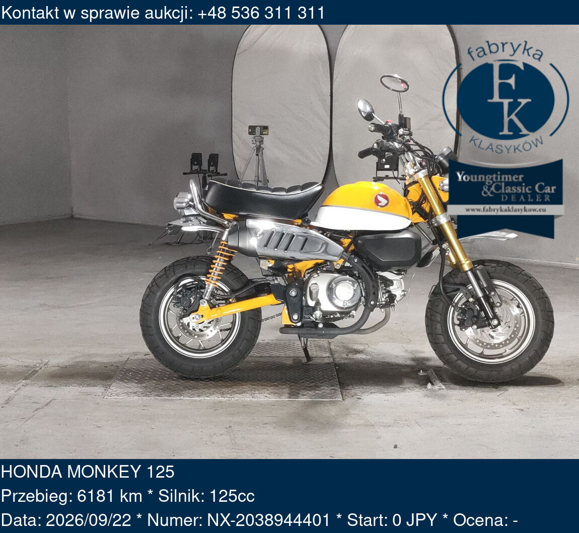 HONDA MONKEY 125  - zdjęcie 2