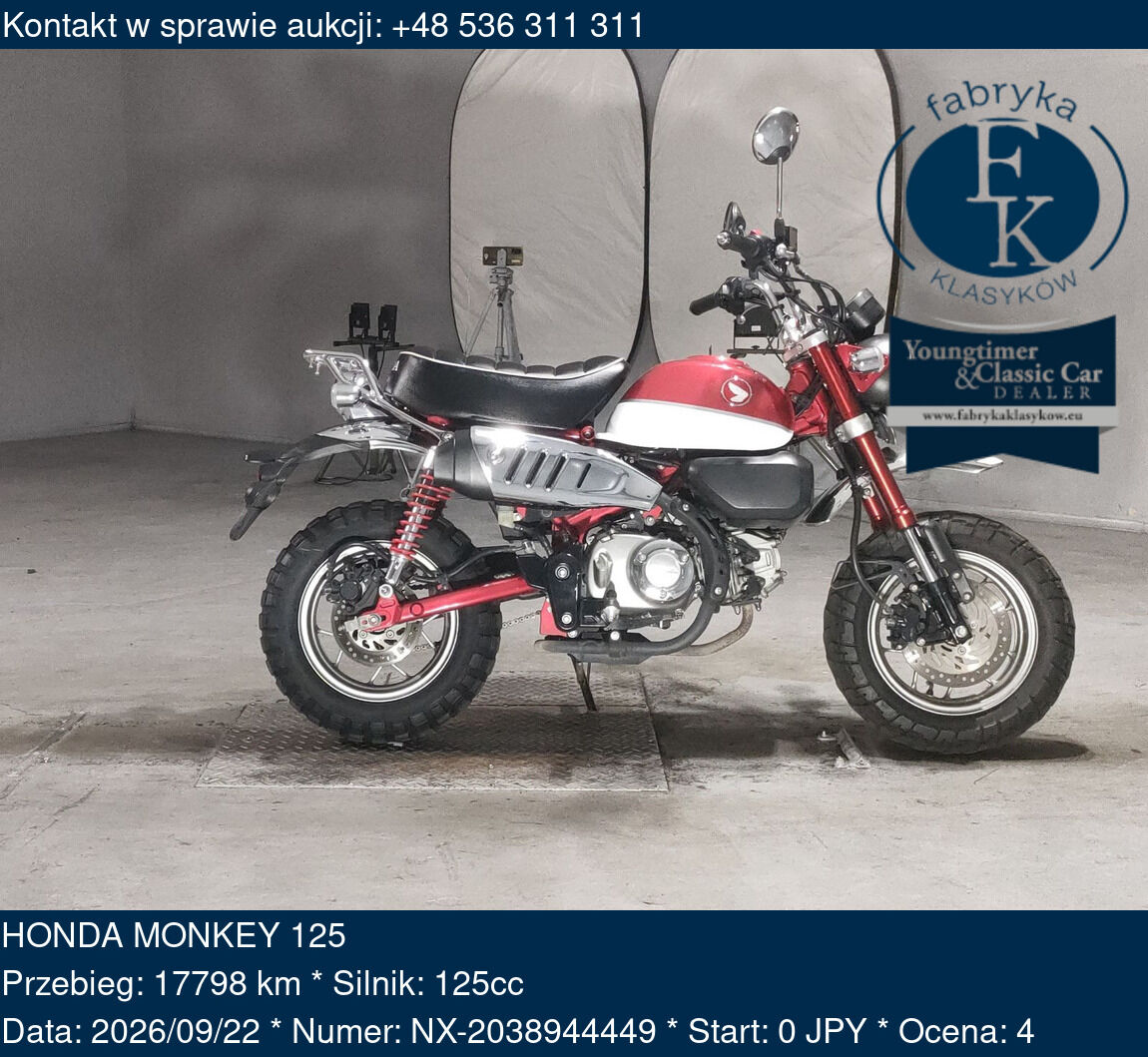 HONDA MONKEY 125  - zdjęcie 2