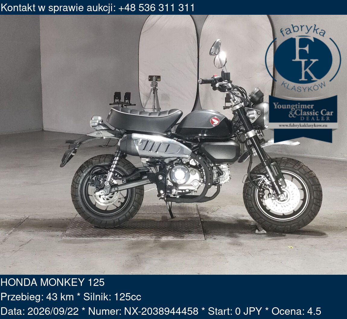HONDA MONKEY 125  - zdjęcie 2