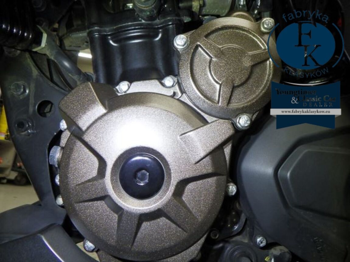 SUZUKI JIKUSA-250  - zdjęcie 12
