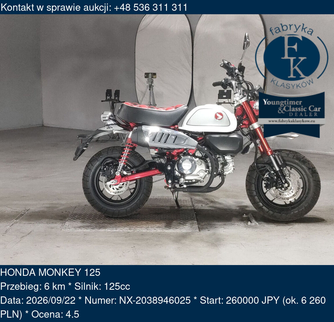 HONDA MONKEY 125  - zdjęcie 2