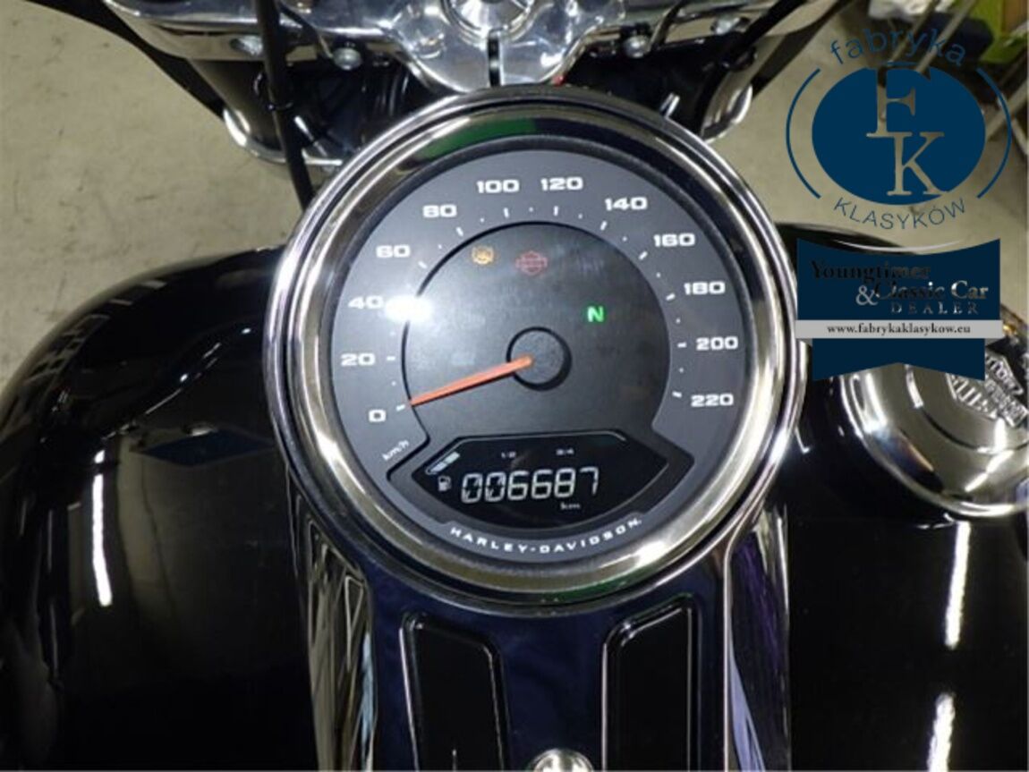 HARLEY-DAVIDSON FLSB1750 2025 - zdjęcie 17